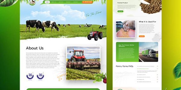 Custom Web Design & Development