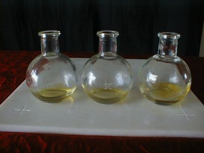 Our Lady of Compassion Chrism Mass Blessed Oils altar