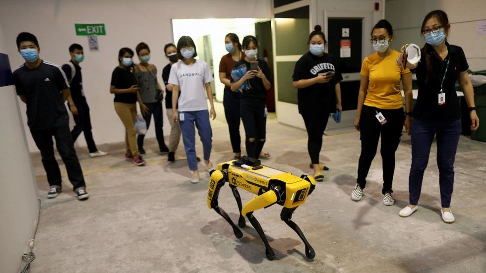 robot dog