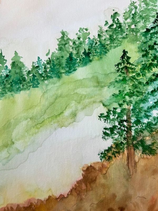 Pine Trees 9x12 watercolor painting on watercolor canvas paper. (unframed) $45.00