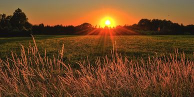 Properties for sale in East Gwillimbury