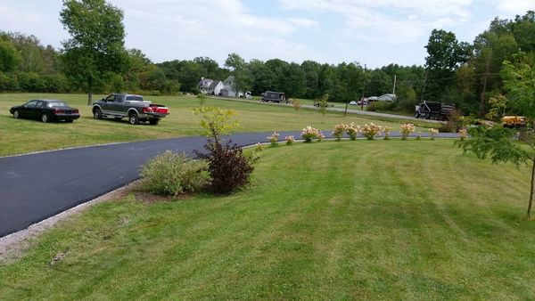 A spacious lawn with a paved driveway and parked vehicles.