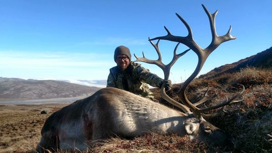Picture of a Close Encounters Bowhunts client with a bow killed caribou