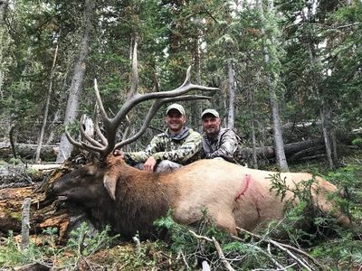 Picture of a Close Encounters Bowhunts client with a bull elk taken in Montana