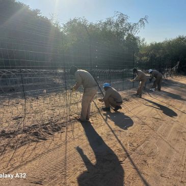 Workers install and repair a wire fence under bright sunlight.