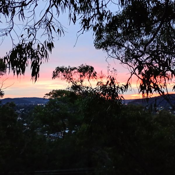 Sunset colors peek through silhouetted tree branches over hills.