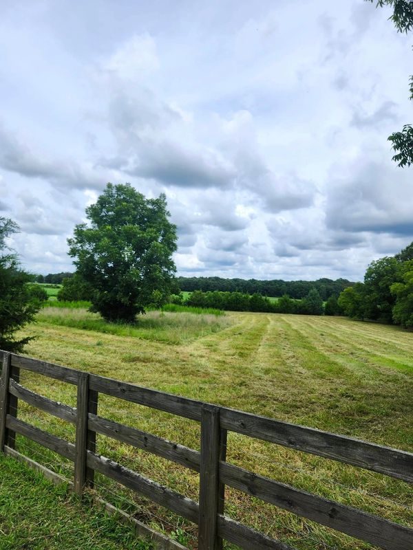 A green field with a wooden fence and a cloudy sky.