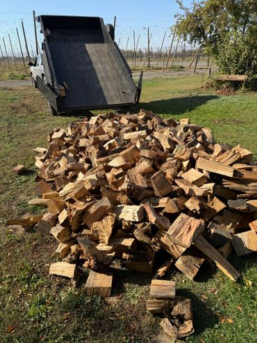 Pile of chopped firewood dumped from a truck in a sunny yard.