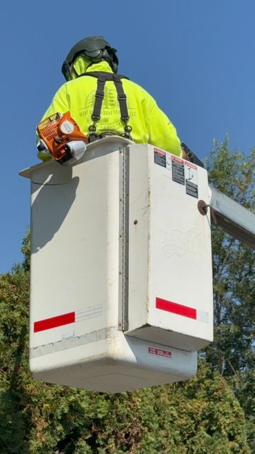 Worker in a bucket lift wearing safety gear and carrying a chainsaw.