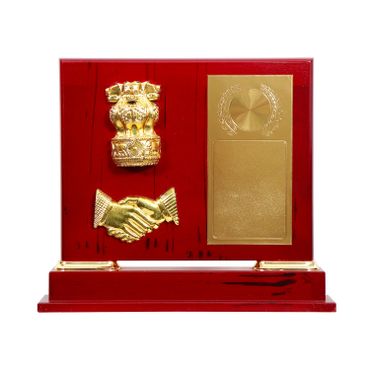 Hand Shield Ananya Awards