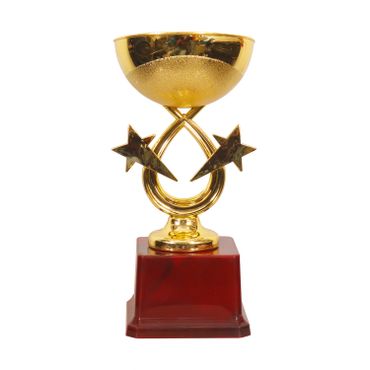 Star Cup Ananya Awards