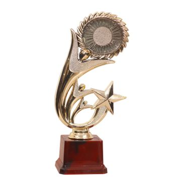 Budget STAR Ananya Awards