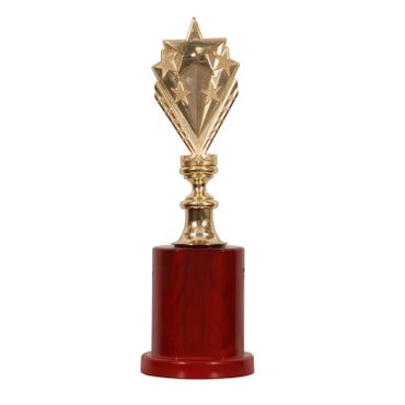 Premium Awards Ananya Noida