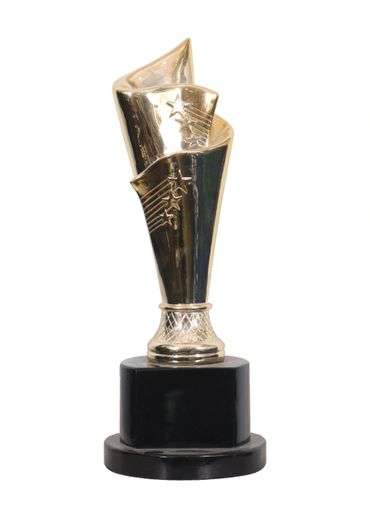 Foil Awards Ananya Awards