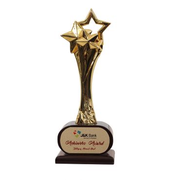 Premium star Ananya Awards