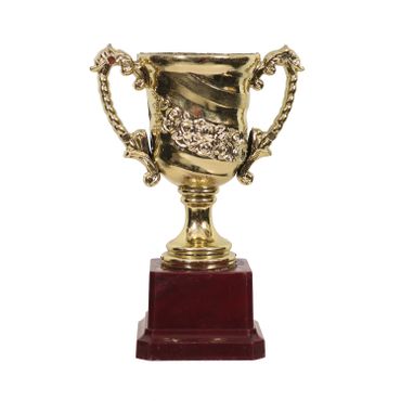 Budget Cup Ananya Awards