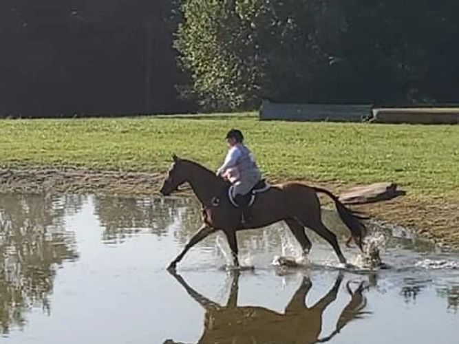 Foot Hills Hunter Trial Tryon NC Fall 2020