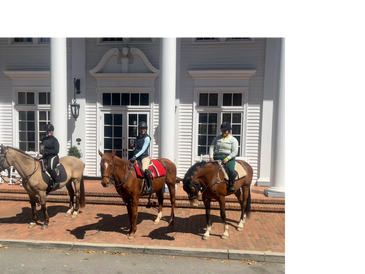 Tiger with a guest  at the Iconic Wilcox in Aiken SC