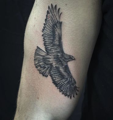 hawk tattoo