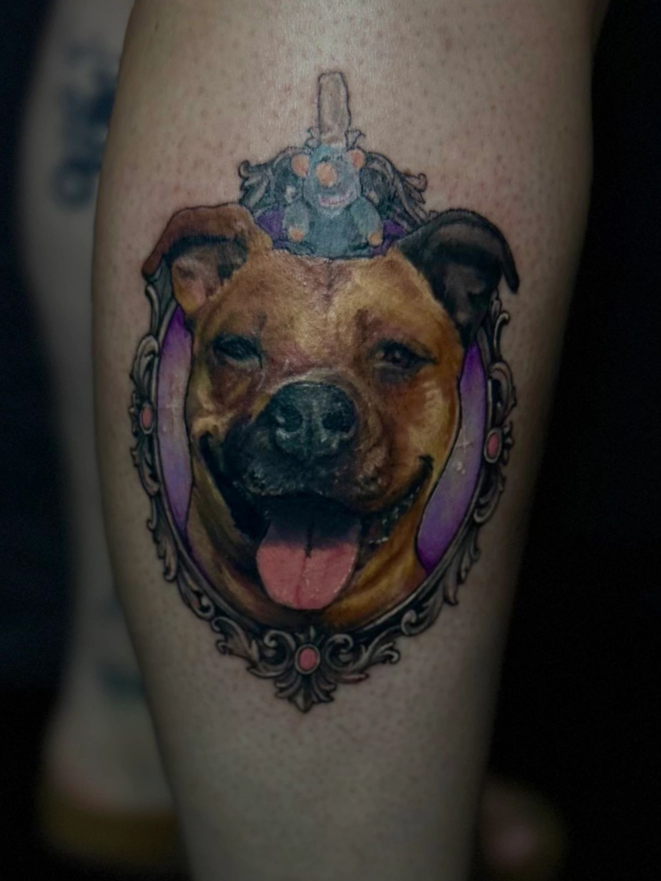 Custom dog portrait tattoo in ornate frame by Anthony at Mayhem Tattoo in Salem, NH