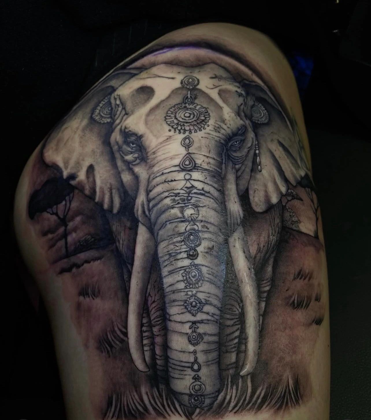 Detailed black and gray elephant tattoo with tribal patterns on upper arm.