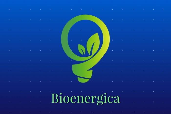 Sapling (Bio) and electric bulb (Energy) gives rise to Bioenergictics = Bioenergica.com