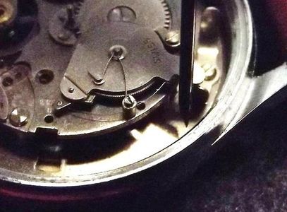 Cervinka Bogdan, Baumgartner