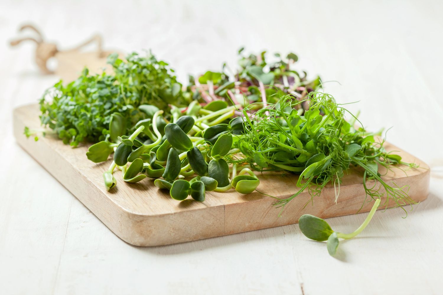 Cutting board on white surface with four varieties of microgreens cut and placed in piles on top.