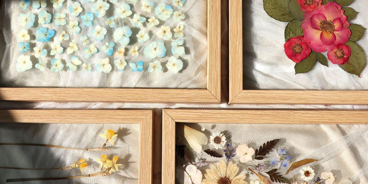 Bird's-eye view of 4 pressed-flower art frames, zoomed in so only the corners nearly touching.