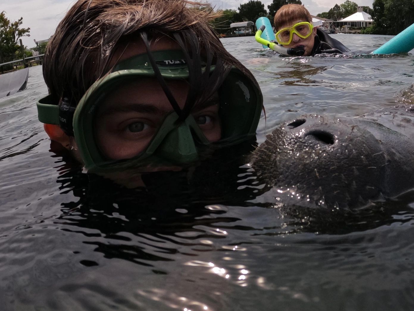 swim with manatees
#swimwithmanatees