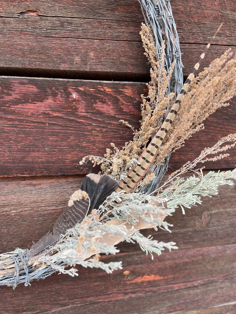 Medicine Springs Ranch Black Copper Marans