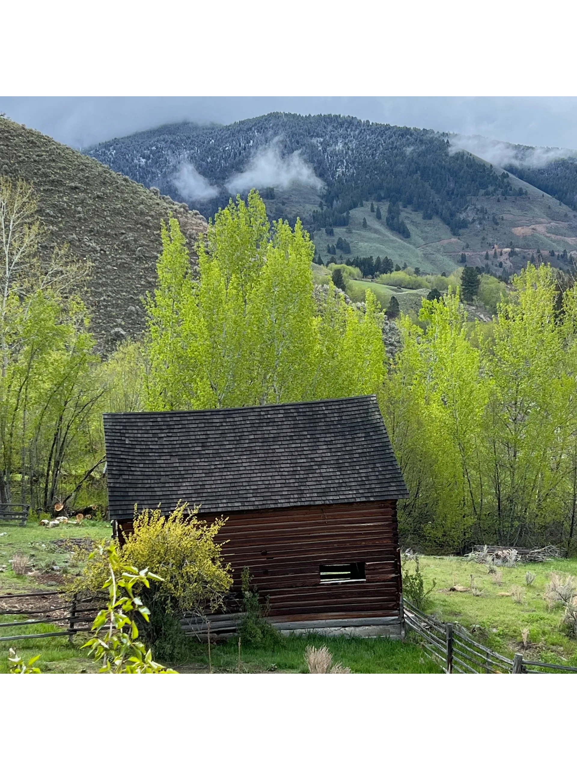 Medicine Springs Ranch Mile High Marans