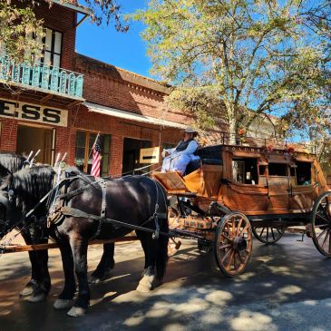Horse-drawn carriage with driver on a sunny street.