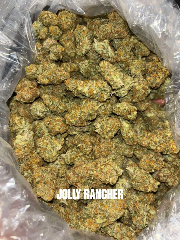 Close-up of cannabis buds labeled 'Jolly Rancher' in a plastic bag.