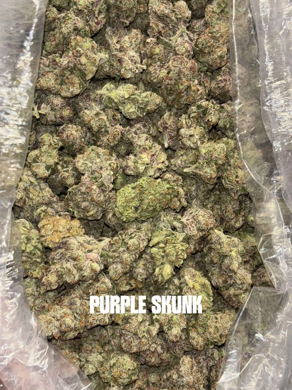 A close-up of Purple Skunk cannabis buds in a plastic bag.
