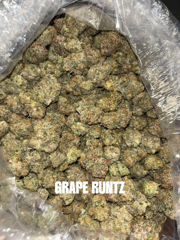 Close-up of Grape Runtz cannabis buds in a plastic bag.