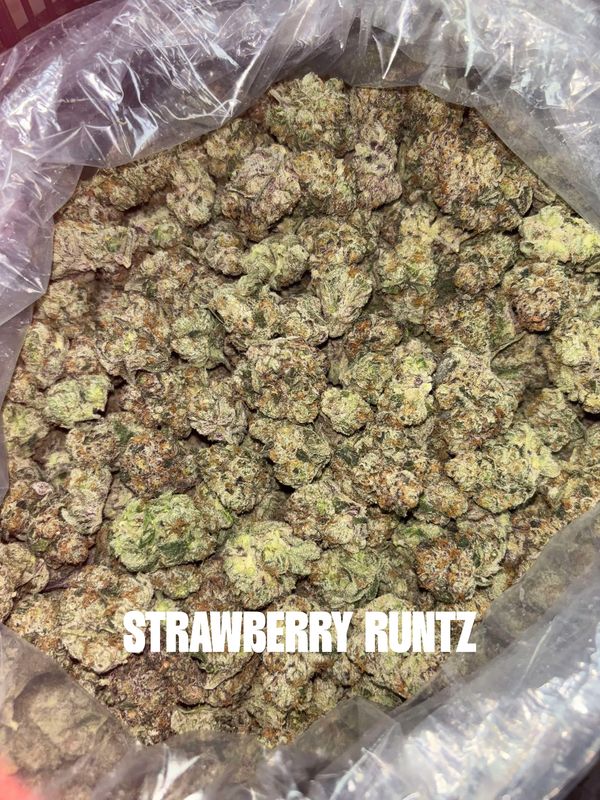 A large bag filled with Strawberry Runtz cannabis buds.