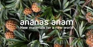Close-up of ripe pineapples with the text 'ananas anam New materials for a new world'.