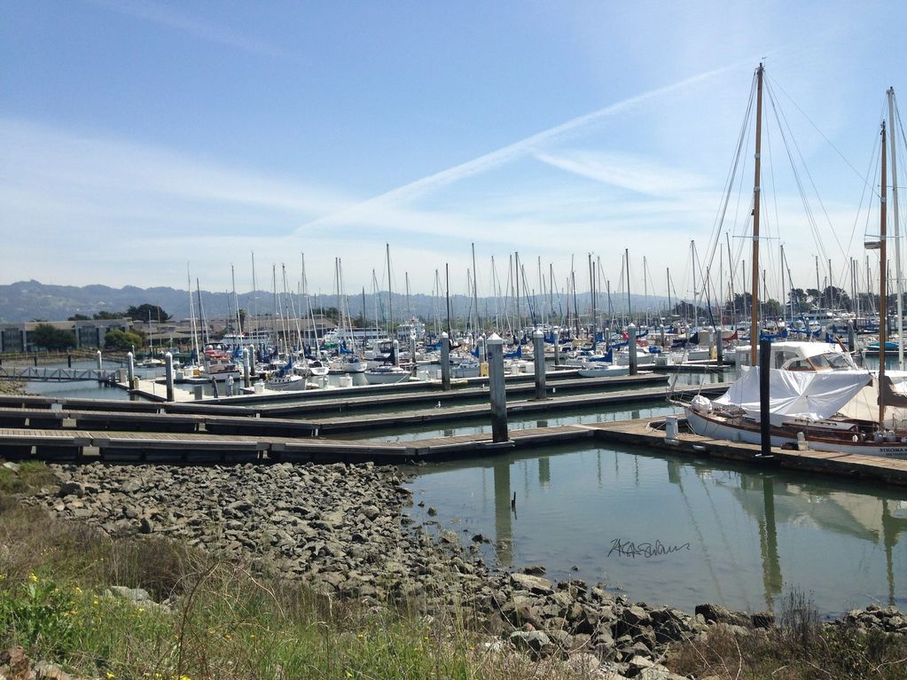 Boat Community, Berkeley CA