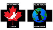 Feline Health and Emergency First Aid Canada/International