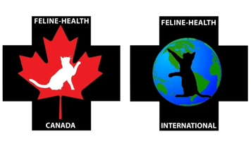 Feline Health and Emergency First Aid Canada/International