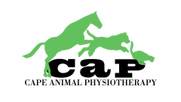 Cape Animal Physiotherapy