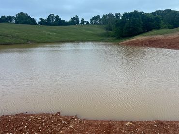 Pond