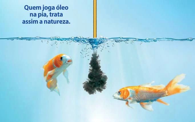 Coleta, armazenamento, transporte, beneficiamento e o destino final do óleo e gordura vegetal