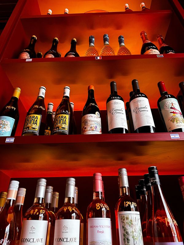 Vinhos em Adega com diversos rótulos