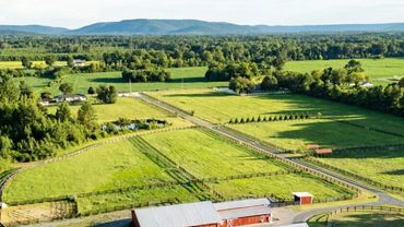 Aerial view of a rural farm with red barns and fenced green fields.