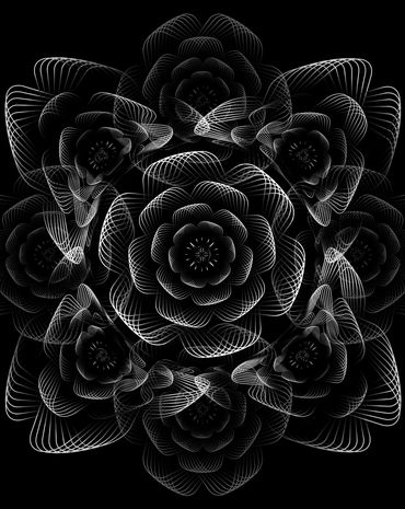 Darkness Behind a Flower