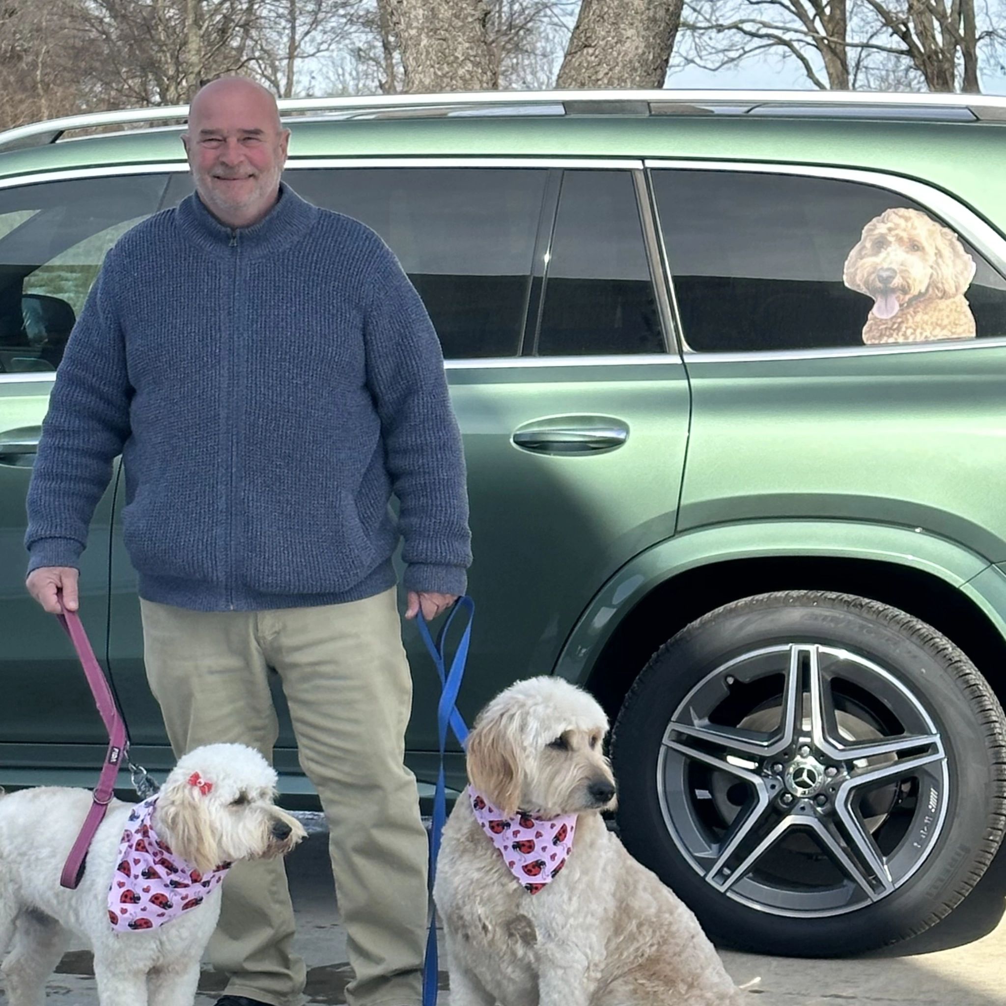Smiling man standing with two dogs wearing matching ladybug bandanas near a green Mercedes SUV, ready pet transportation services by Luxury Pet Transport