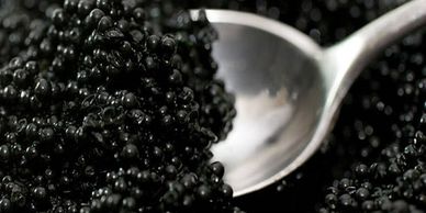 caviar