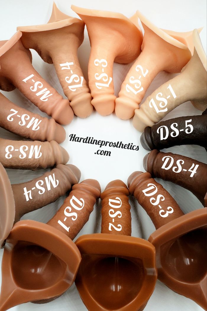 Hard line prosthetics color wheel